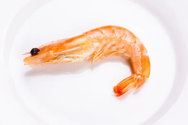 Tiger shrimps — Stock Photo, Image