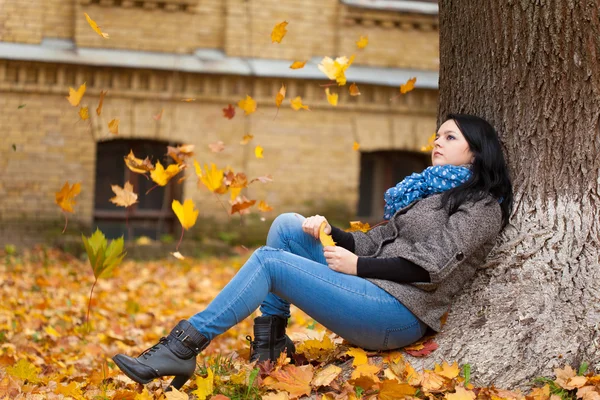 Young pretty woman in autumn park — Stock Photo, Image