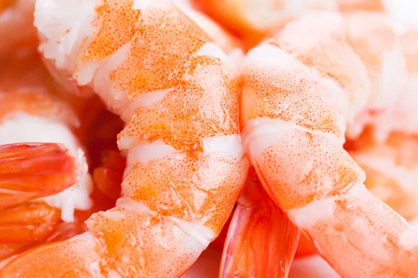 Tiger shrimps — Stock Photo, Image