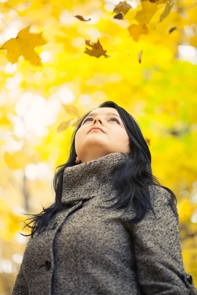 Giovane bella donna in autunno parco — Foto Stock