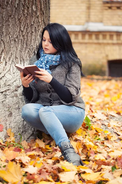 Hermosa mujer con libro en el parque de otoño —  Fotos de Stock