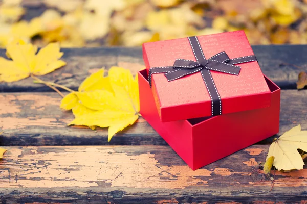 Red gift box with bow on bench in autumn park — Stock Photo, Image