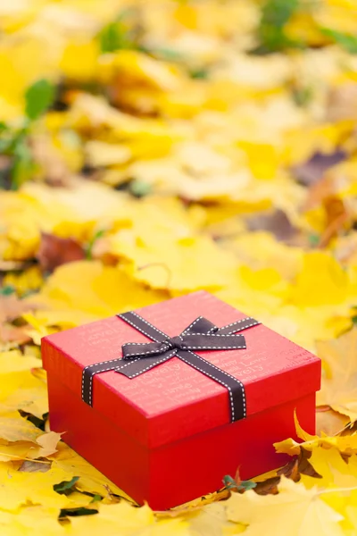 Red gift box with bow in yellow leaves — Stock Photo, Image