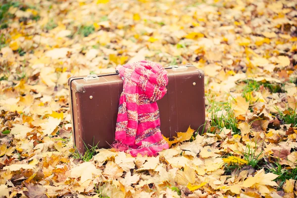 Maleta vintage con bufanda rosa en el parque de otoño — Foto de Stock