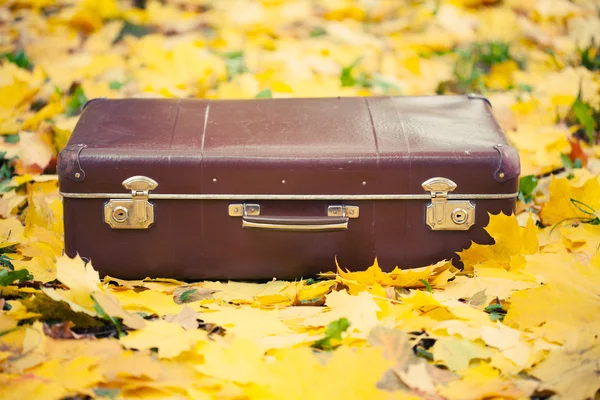Vintage suitcase in autumn park — Stock Photo, Image