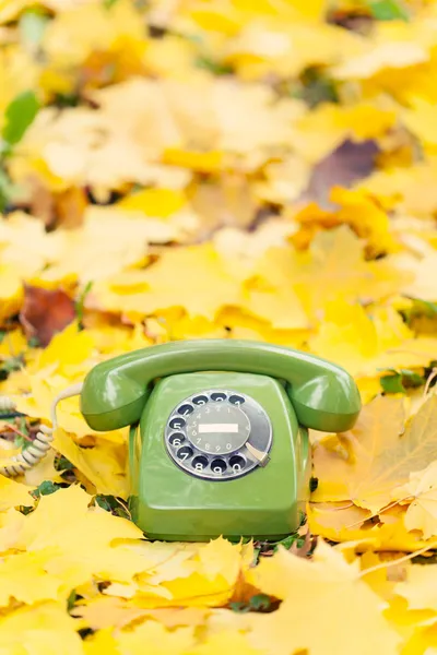 Grünes Vintage-Handy in gelben Blättern — Stockfoto