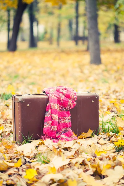Maleta vintage con bufanda rosa en el parque de otoño — Foto de Stock