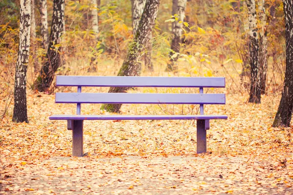 Bänk i höstparken — Stockfoto