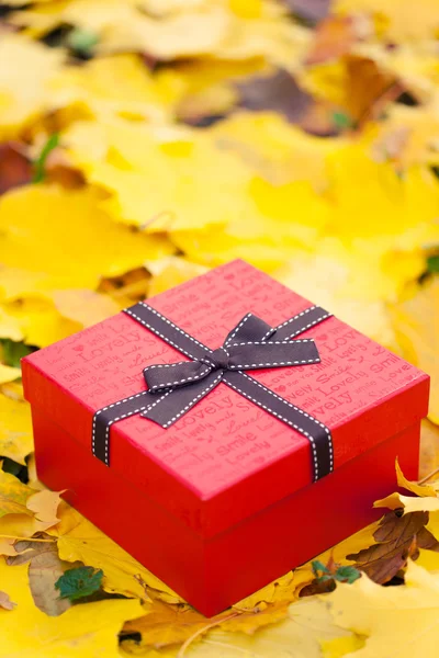Sarı yapraklar fiyonklu kırmızı hediye kutusu — Stok fotoğraf