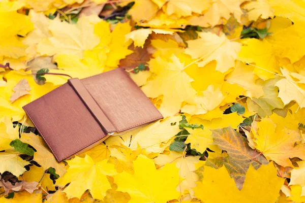 Opened book laying in yellow leaves — Stock Photo, Image