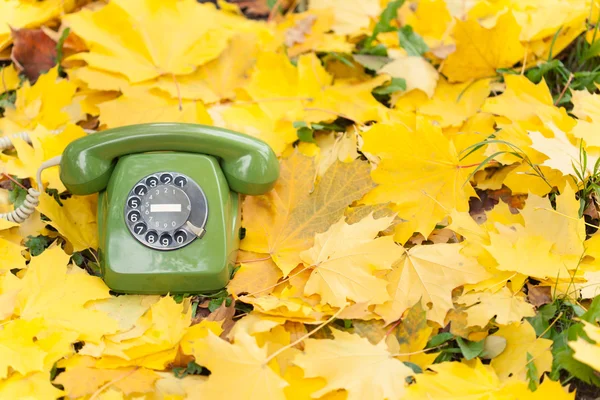 在黄色的树叶的绿色老式电话 — 图库照片