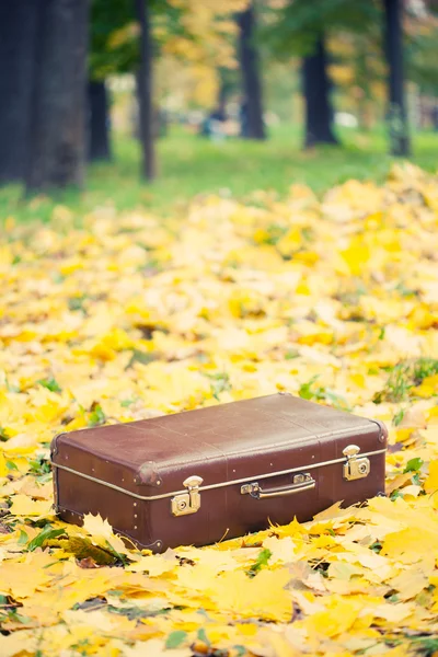 Sztuka walizka w parku jesień — Zdjęcie stockowe
