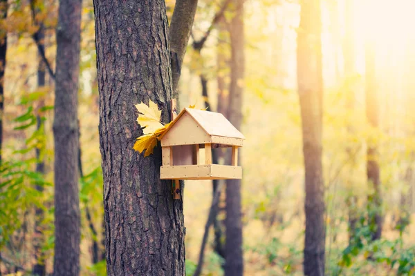 Starling house on tree in autumn park — Stock Photo, Image