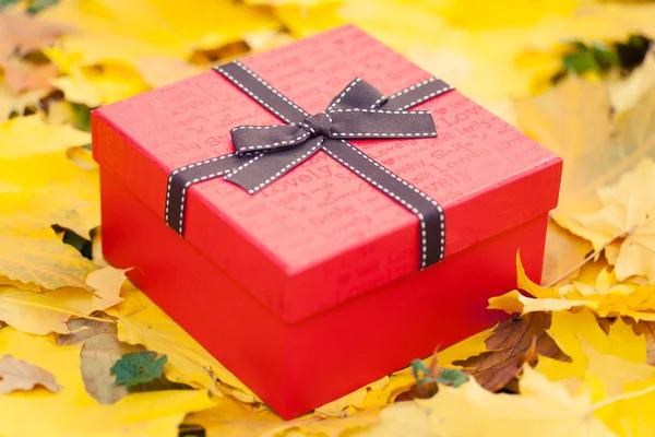 Red gift box with bow in yellow leaves — Stock Photo, Image