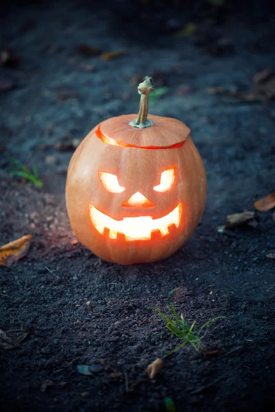 Jack-o-Lanterna di Halloween — Foto Stock