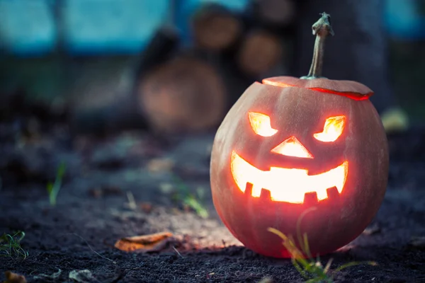 Halloween jack-o-lucerna — Stock fotografie