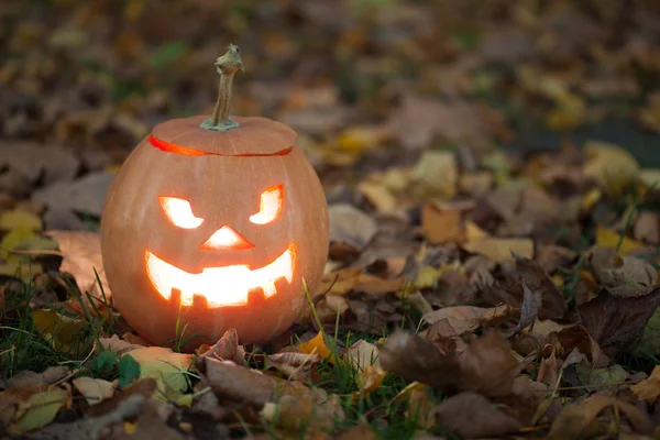 Halloween Jack-o-lanterne — Photo