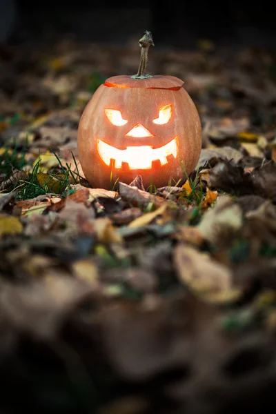 Jack-o-Lanterna di Halloween — Foto Stock