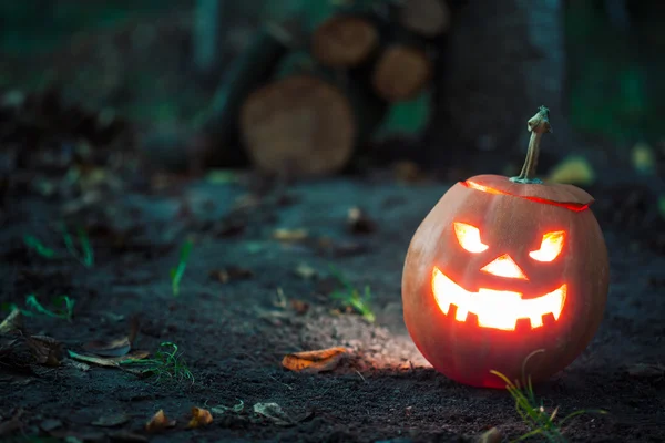 Halloween Jack-o-lantern — Stok fotoğraf