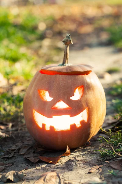 Jack-o-Lanterna di Halloween — Foto Stock