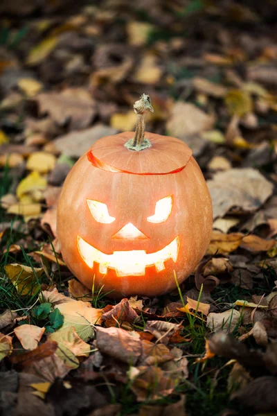 Jack-o-Lanterna di Halloween — Foto Stock