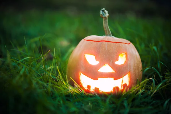 Halloween Jack-o-Lanterna — Fotografia de Stock