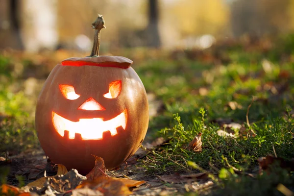 Jack-o-Lanterna di Halloween — Foto Stock