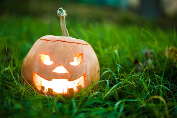 Halloween Jack-o-Linterna —  Fotos de Stock