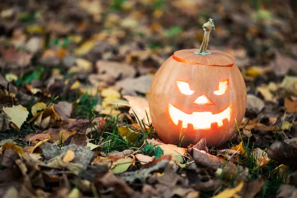 Jack-o-Lanterna di Halloween — Foto Stock