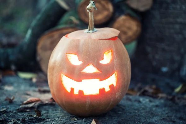 Halloween Jack-o-Linterna —  Fotos de Stock