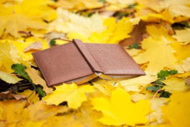 Sarı yapraklar döşeme kitap açıldı