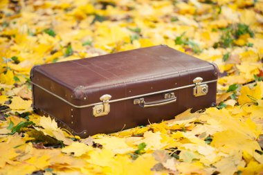 sonbahar Park Vintage çanta