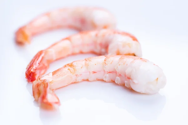 Tiger shrimps — Stock Photo, Image