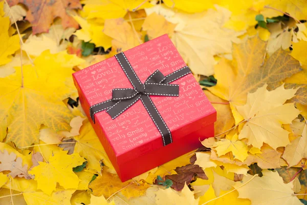 Boîte cadeau rouge avec arc en feuilles jaunes — Photo