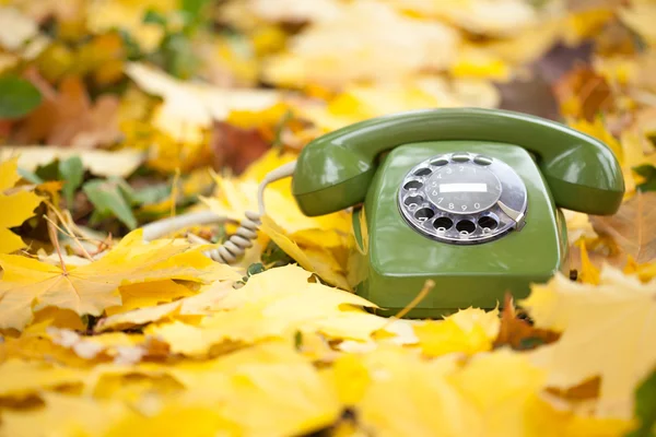 黄色の葉の緑のビンテージ電話 — ストック写真