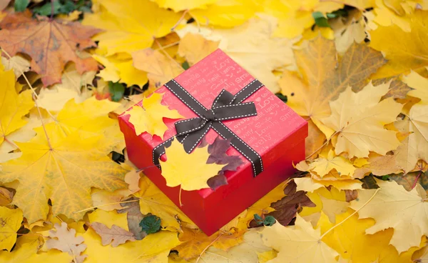 Red gift box with bow in yellow leaves — Stock Photo, Image