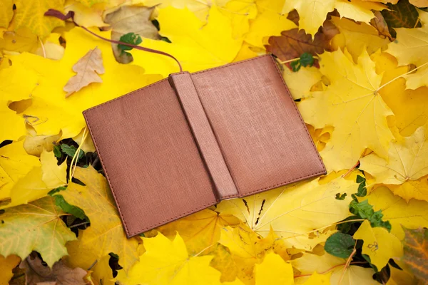 Otworzył książkę w żółte liście — Zdjęcie stockowe