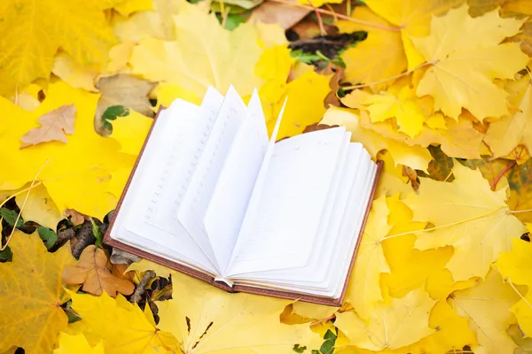 打开书躺在黄色的树叶 — 图库照片