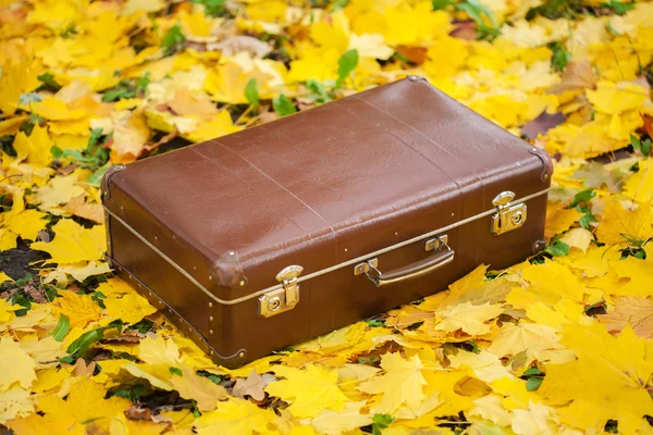 Vintage suitcase in autumn park — Stock Photo, Image