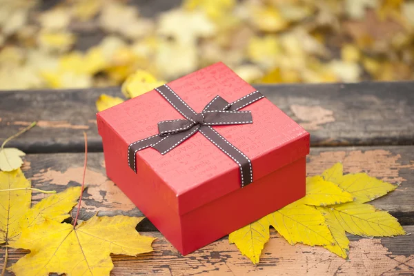 Red gift box with bow on bench in autumn park — Stock Photo, Image