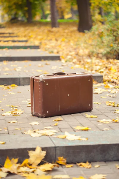 Sztuka walizka na alei parku jesień — Zdjęcie stockowe