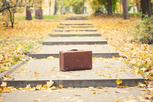 Ročník kufr na ulici v podzimním parku — Stock fotografie