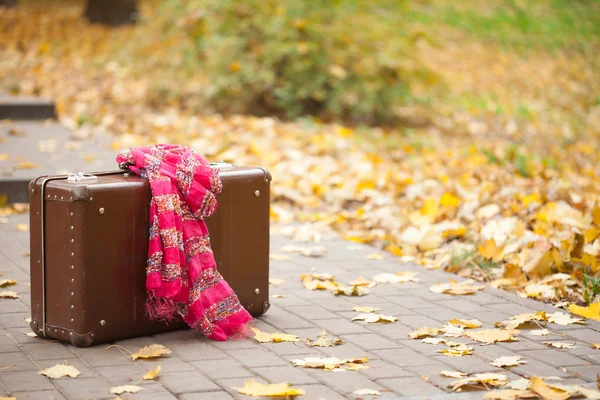 Vintage suitcase with pink scarf on alley in autumn park — Stock Photo, Image