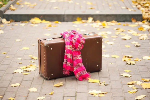 Ročník kufr s růžovou šálu na ulici v podzimním parku — Stock fotografie