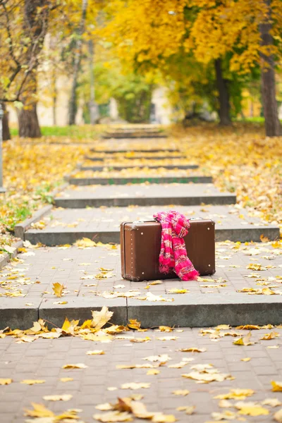 秋の公園で路地にピンクのスカーフを持つヴィンテージ スーツケース — ストック写真