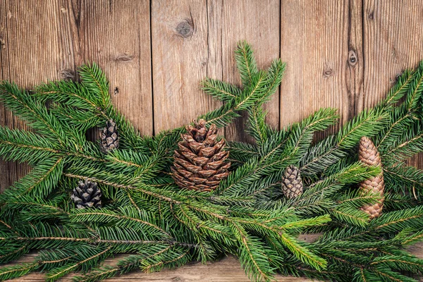 Ramas de árbol de Navidad con bultos —  Fotos de Stock