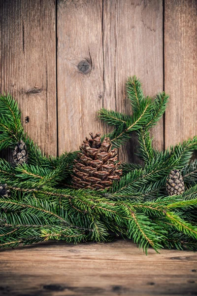 Ramas de árbol de Navidad con bultos —  Fotos de Stock