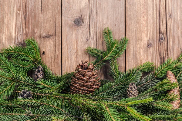Ramas de árbol de Navidad con bultos —  Fotos de Stock