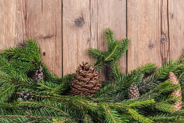 Christmas tree branches with bumps — Stock Photo, Image