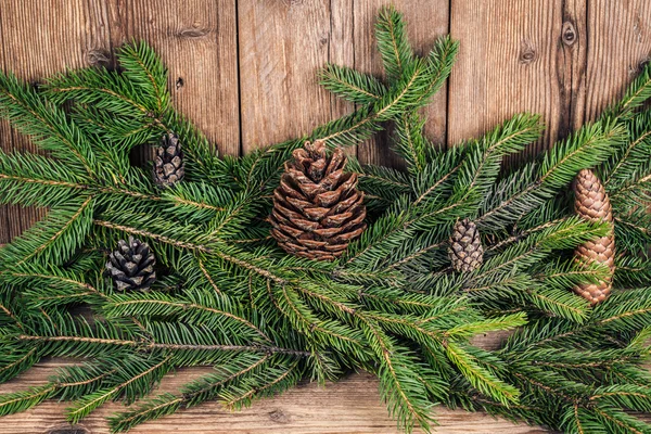Ramas de árbol de Navidad con bultos —  Fotos de Stock